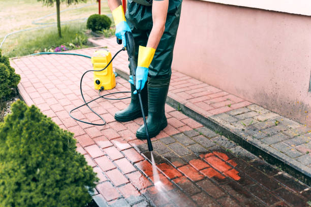 Trusted Mount Carmel, TN Pressure washing Experts